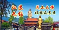 干吊日视频江苏无锡灵山大佛旅游风景区